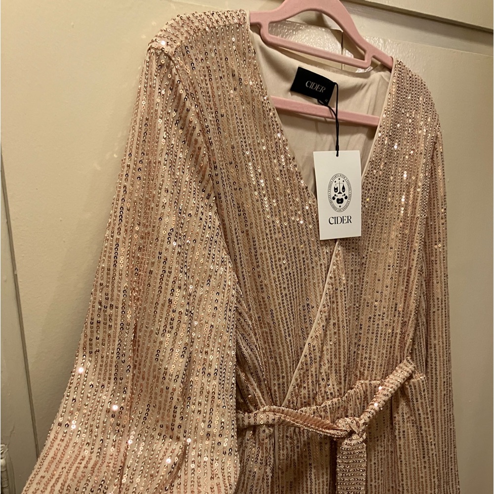 NWT, never been worn CIDER shimmer sparkle dress.